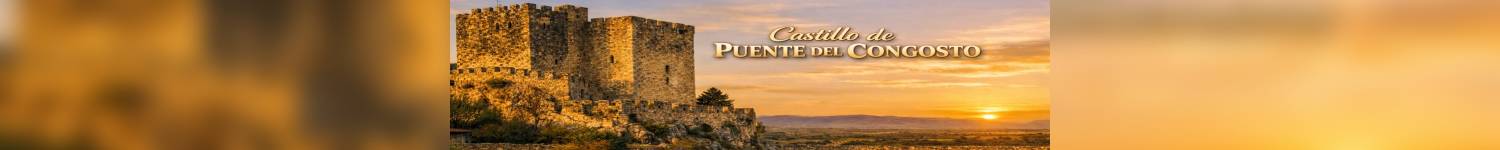 Web Puente del Congosto