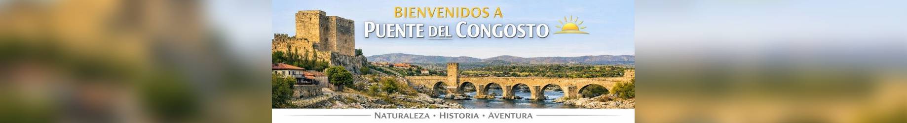 Web Puente del Congosto