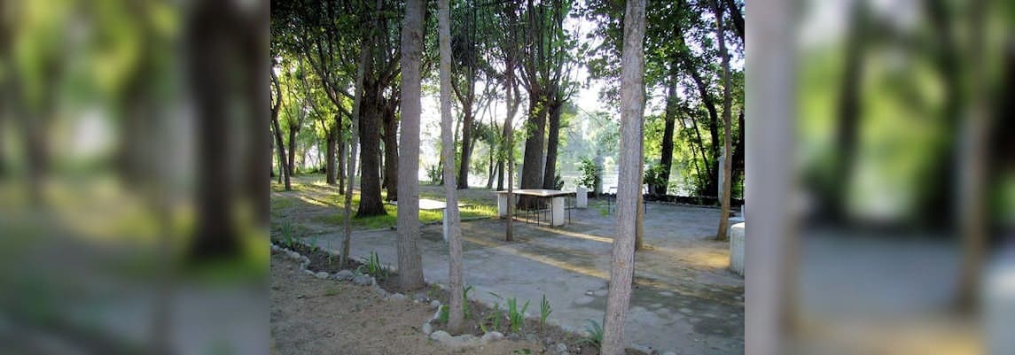 Bar La Bardera