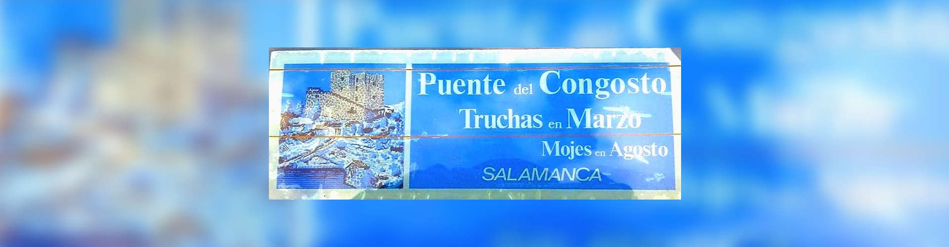 Imagen de Puente del Congosto